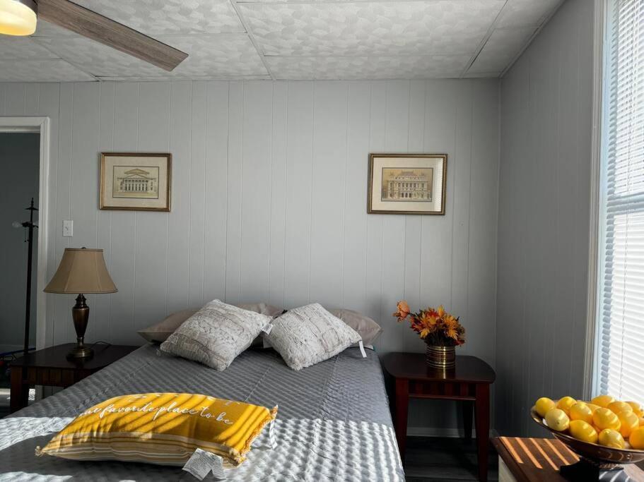 Zen/peaceful Retreat/pittsburgh/canton Avenue