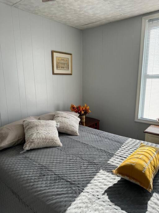 Zen/peaceful Retreat/pittsburgh/canton Avenue