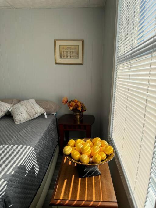 Zen/peaceful Retreat/pittsburgh/canton Avenue Apartamento