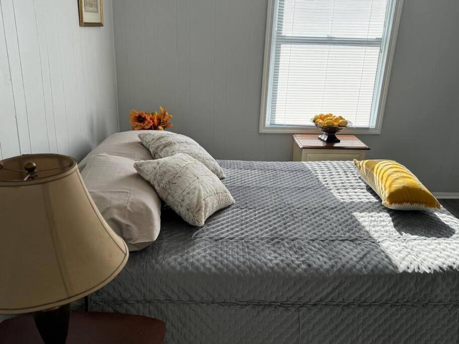 Apartamento Zen/peaceful Retreat/pittsburgh/canton Avenue *